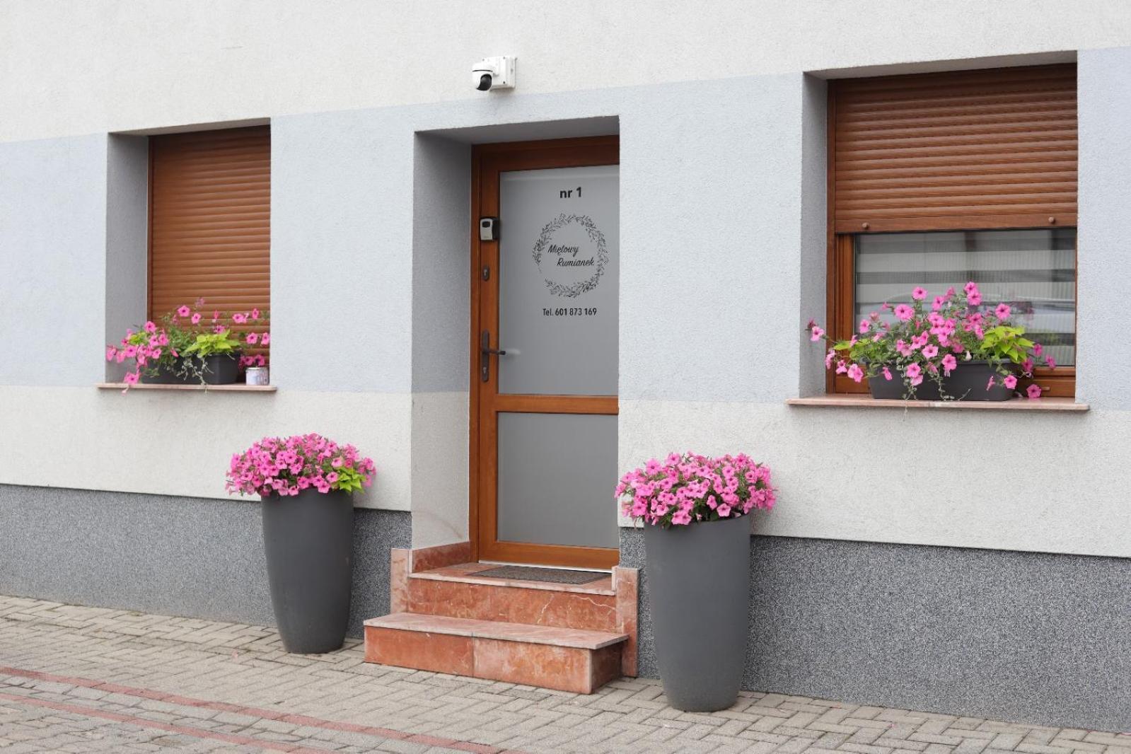 Apartment Mietowy Rumianek *